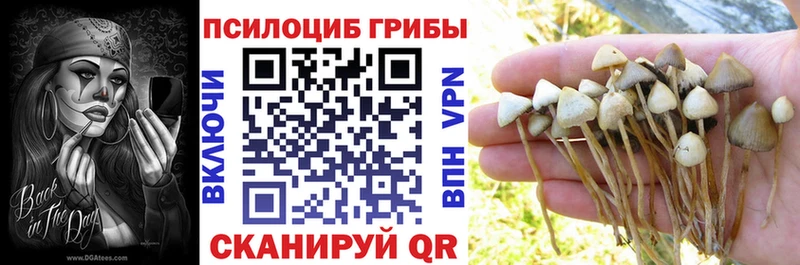 Галлюциногенные грибы GOLDEN TEACHER  Купить  Крым 